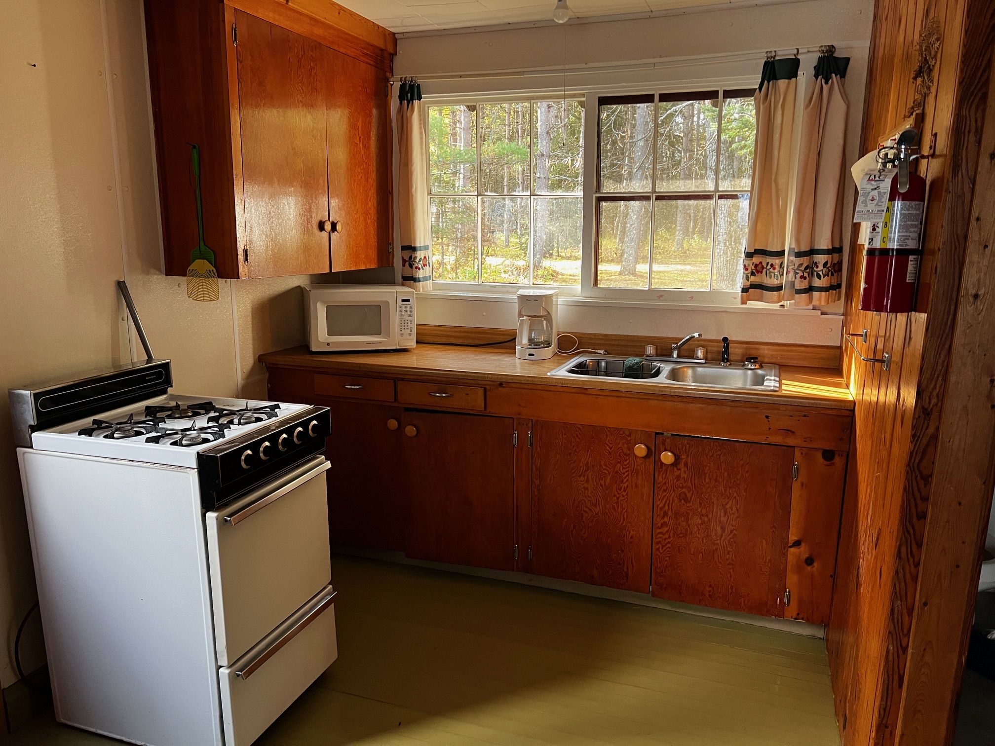 Eagles Nest Cabin Grey Wolf Lodge Pelican Lake Orr, MN